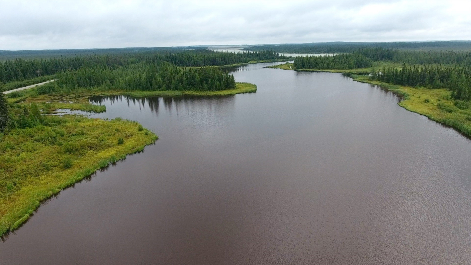 From tailings to trumpeter swans thanks to a win-win partnership